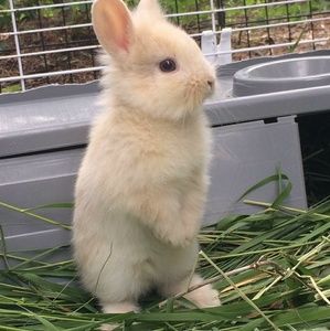 Meet your Posher, Ashley